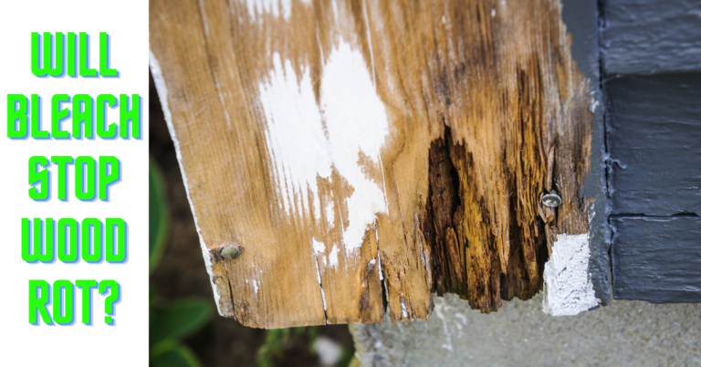 Will Bleach Stop Wood Rot